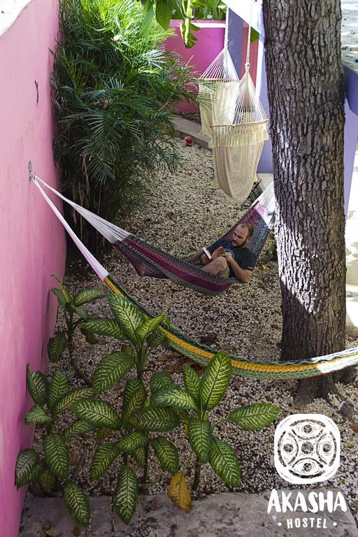 Akasha Hostel Merida Exterior photo