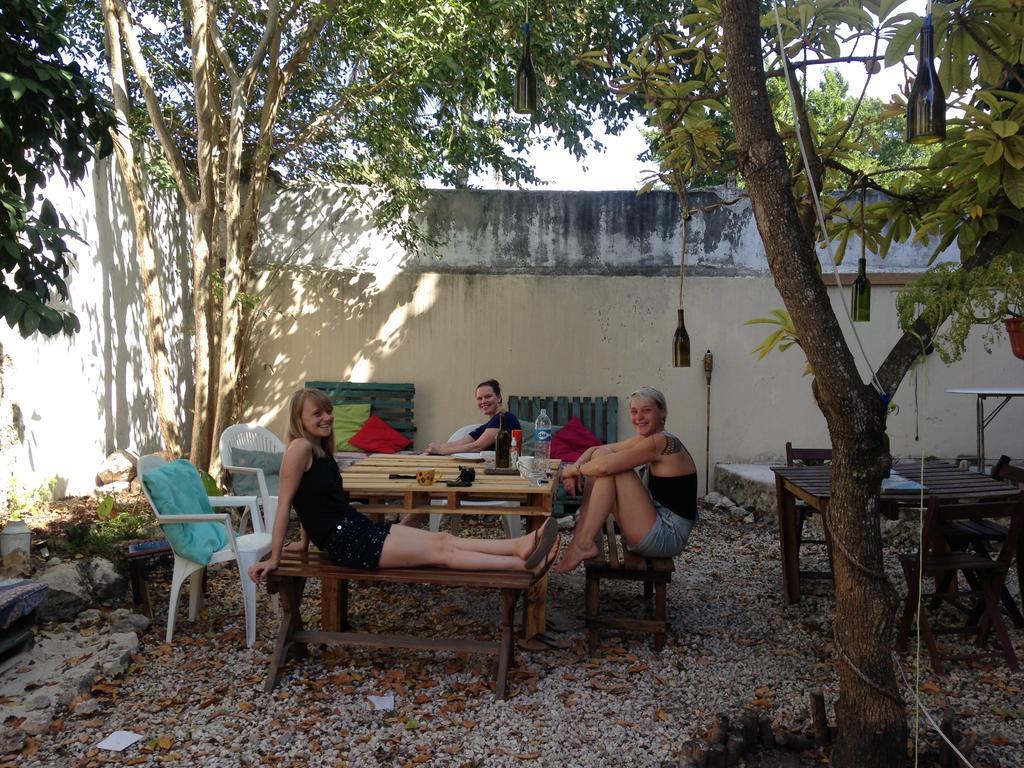 Akasha Hostel Merida Exterior photo